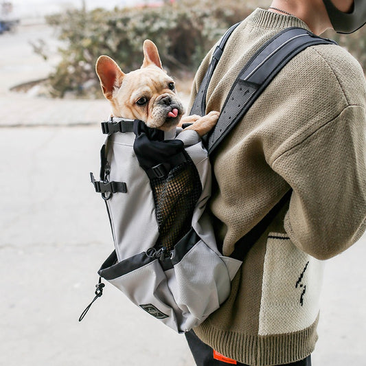PawTrek™ Dog Carrier Backpack with a small dog being carried comfortably by a person outdoors, ideal for travel.
