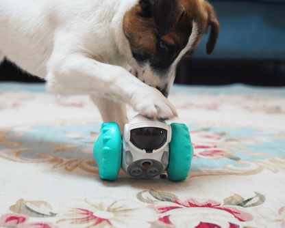 PawDrive™ Interactive Smart Balance Toy Car for Cats & Dogs