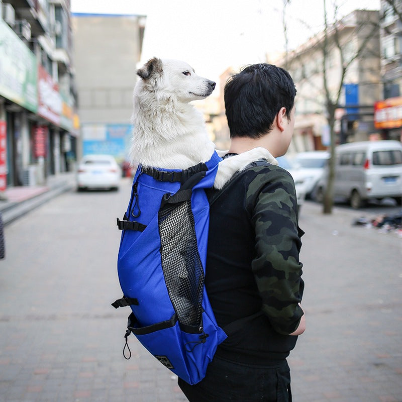 Dog carrier backpack carrying a small French Bulldog on a person's back, ideal for portable pet travel with PawTrek™.