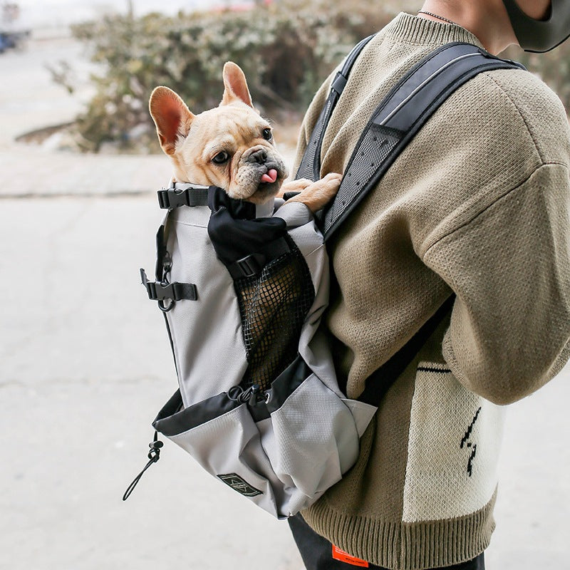 Dog carrier backpack carrying a small French Bulldog on a person's back, ideal for portable pet travel with PawTrek™.