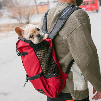 PawTrek™ Dog Carrier Backpack with a small dog being carried comfortably by a person outdoors, ideal for travel.