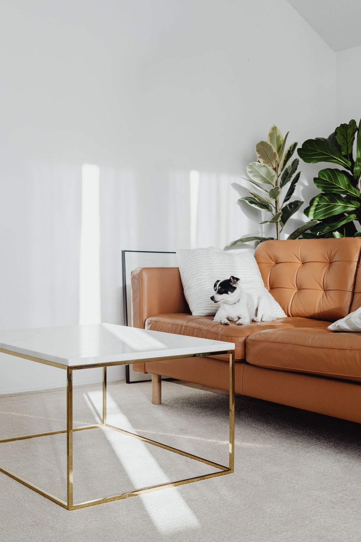 Accessible Lifestyle Solutions