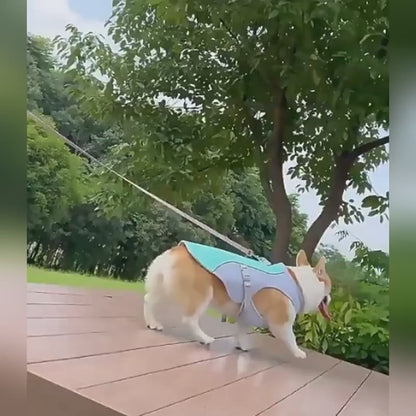 CoolVest™ Dog Cooling Vest — Breathable Summer Jacket