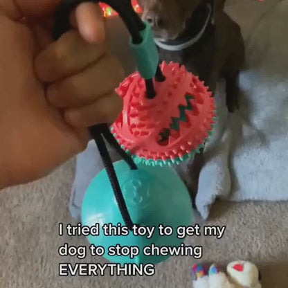 Suction Cup Dog Toy durable tug toy for dogs