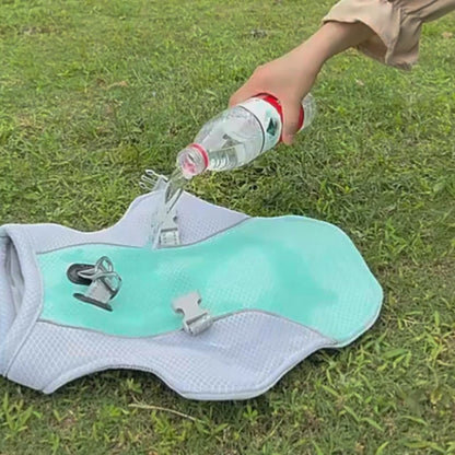 CoolVest™ Dog Cooling Vest — Breathable Summer Jacket
