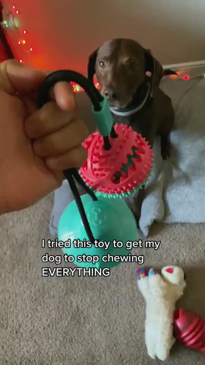 PawTug™ Suction Cup Interactive Chew Toy for Dogs