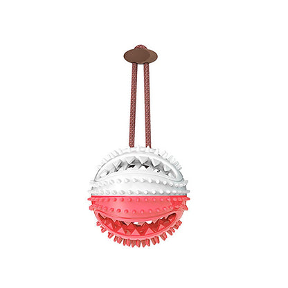 Suction Cup Dog Toy featuring a dog chewing on a tugging toy anchored with a strong suction cup for interactive play.